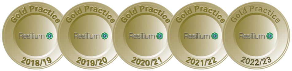 2022-2023_Medallions_-1_-_GoldGoldGoldGoldGold-removebg-preview