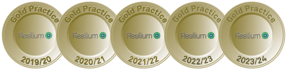 2023-2024 Medallions - Web - 01 - GoldGoldGoldGoldGold
